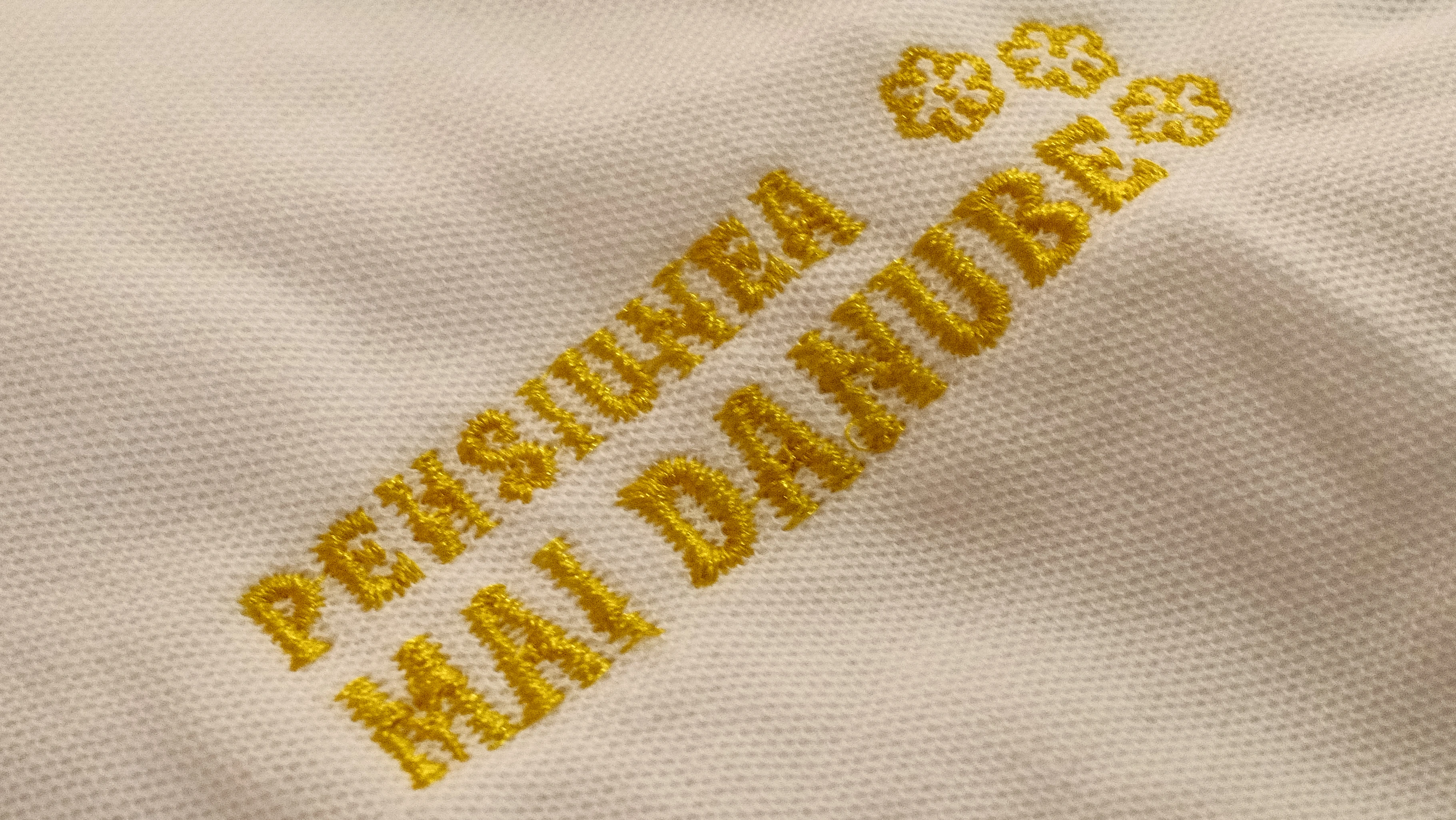 Tricouri polo personalizate prin broderie pentru o pensiune: proiectul Mai Danube